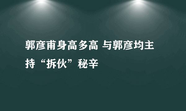 郭彦甫身高多高 与郭彦均主持“拆伙”秘辛