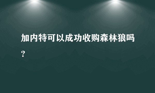 加内特可以成功收购森林狼吗？