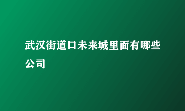 武汉街道口未来城里面有哪些公司