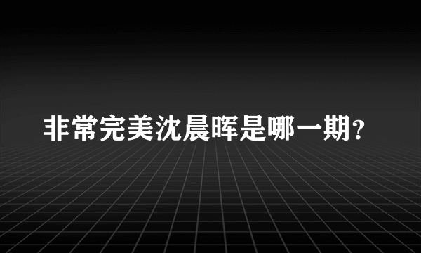 非常完美沈晨晖是哪一期？