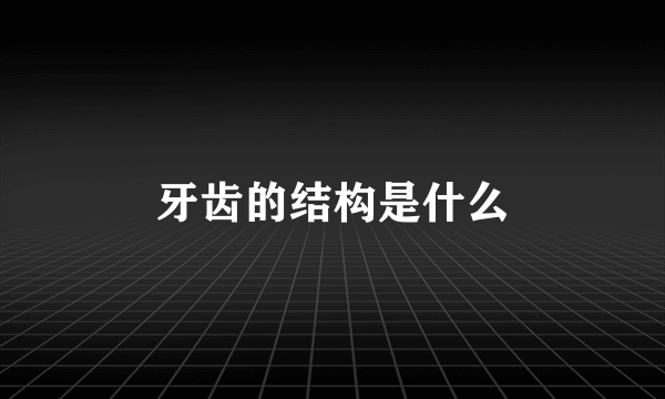 牙齿的结构是什么