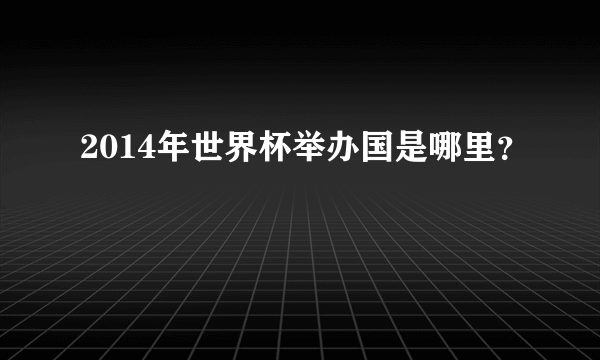 2014年世界杯举办国是哪里？