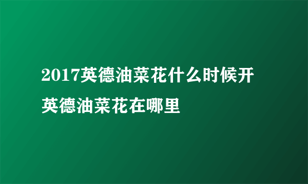 2017英德油菜花什么时候开 英德油菜花在哪里