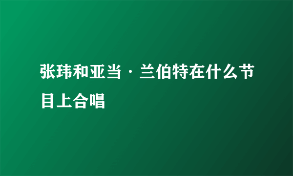 张玮和亚当·兰伯特在什么节目上合唱