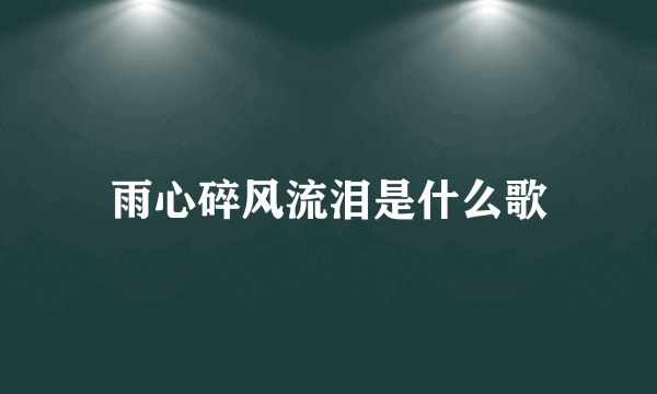 雨心碎风流泪是什么歌