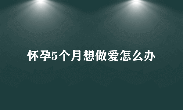 怀孕5个月想做爱怎么办