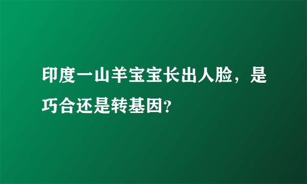 印度一山羊宝宝长出人脸，是巧合还是转基因？