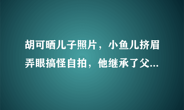 胡可晒儿子照片，小鱼儿挤眉弄眼搞怪自拍，他继承了父母的哪些优点？