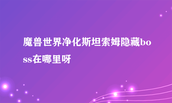 魔兽世界净化斯坦索姆隐藏boss在哪里呀