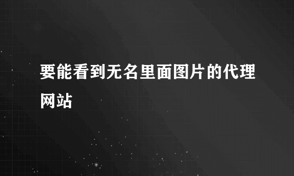 要能看到无名里面图片的代理网站