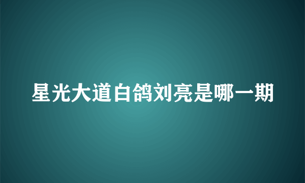 星光大道白鸽刘亮是哪一期