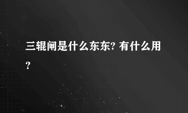 三辊闸是什么东东? 有什么用？