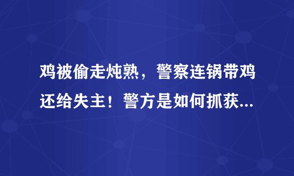 鸡被偷走炖熟，警察连锅带鸡还给失主！警方是如何抓获嫌疑人的？