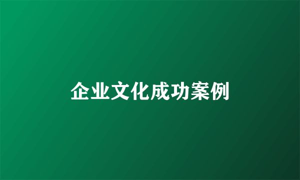 企业文化成功案例