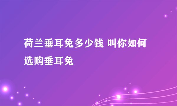 荷兰垂耳兔多少钱 叫你如何选购垂耳兔