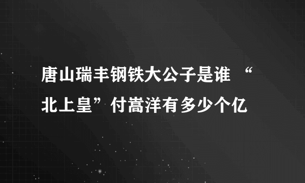 唐山瑞丰钢铁大公子是谁 “北上皇”付嵩洋有多少个亿