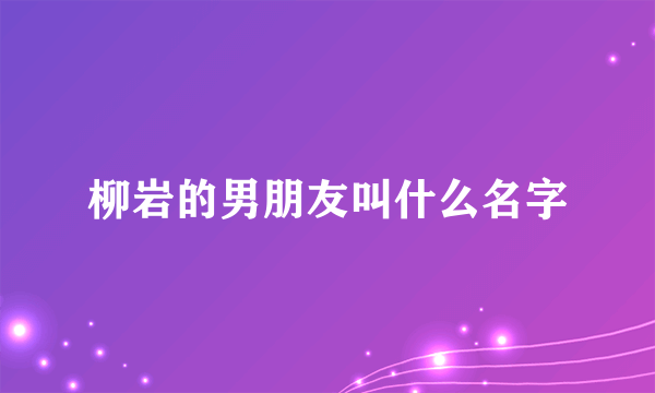 柳岩的男朋友叫什么名字