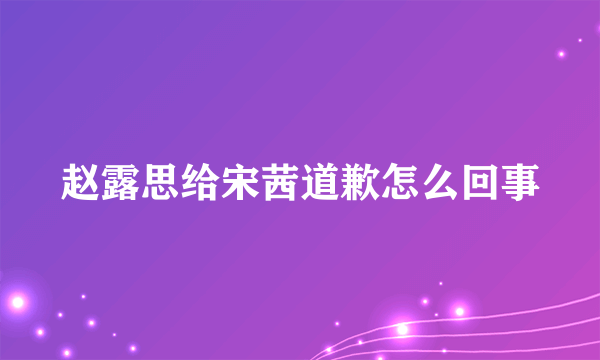 赵露思给宋茜道歉怎么回事