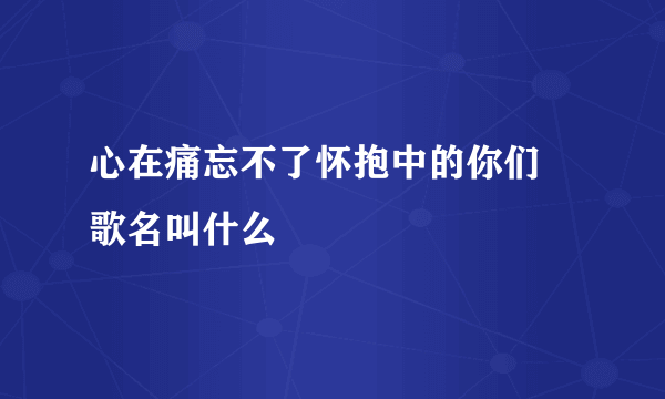 心在痛忘不了怀抱中的你们 歌名叫什么