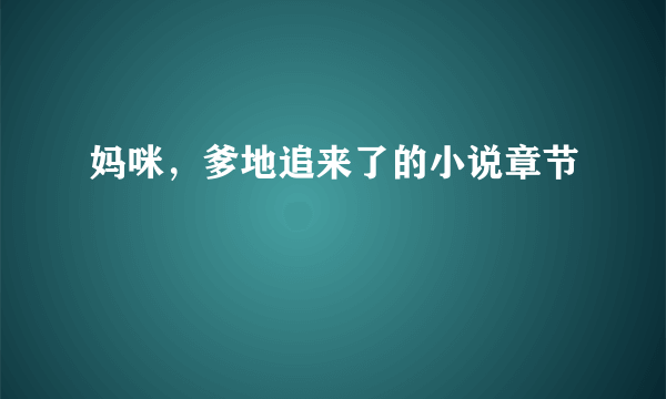 妈咪，爹地追来了的小说章节