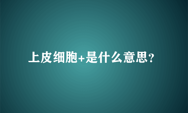 上皮细胞+是什么意思？