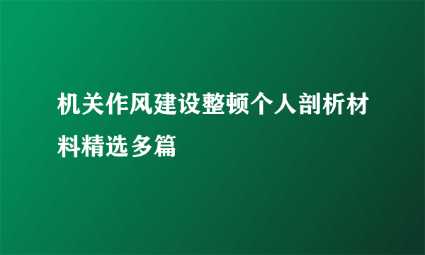 机关作风建设整顿个人剖析材料精选多篇