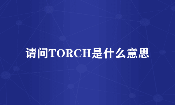 请问TORCH是什么意思