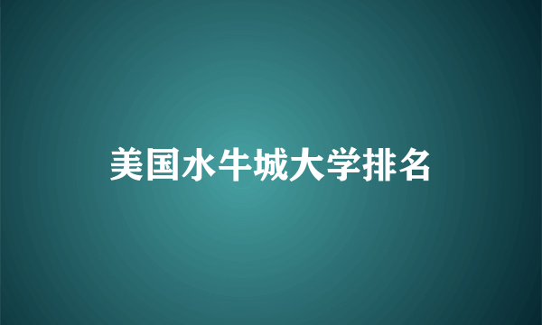 美国水牛城大学排名