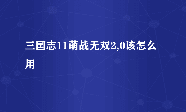 三国志11萌战无双2,0该怎么用