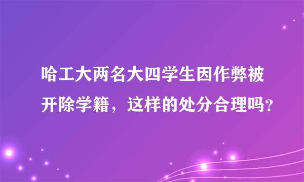 哈工大两名大四学生因作弊被开除学籍，这样的处分合理吗？