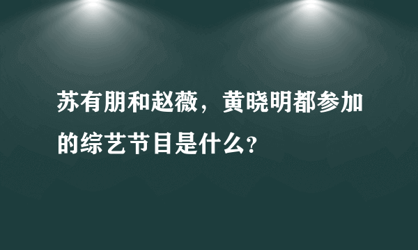 苏有朋和赵薇，黄晓明都参加的综艺节目是什么？