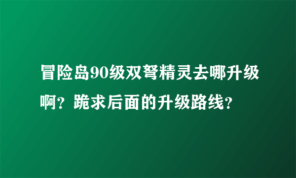 冒险岛90级双弩精灵去哪升级啊？跪求后面的升级路线？