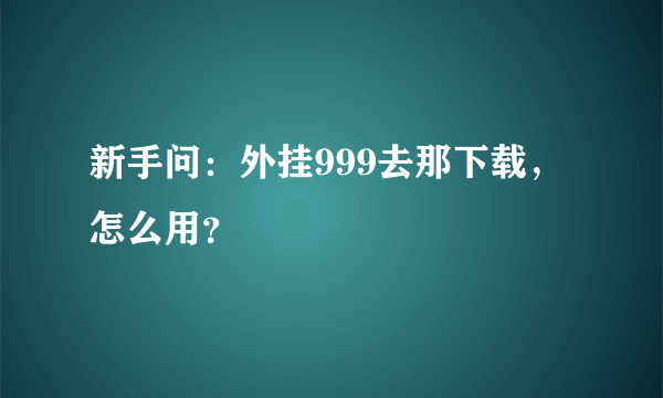 新手问：外挂999去那下载，怎么用？