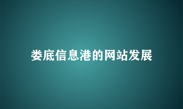 娄底信息港的网站发展