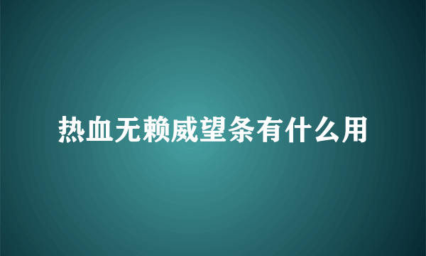 热血无赖威望条有什么用