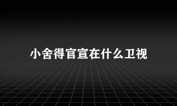 小舍得官宣在什么卫视