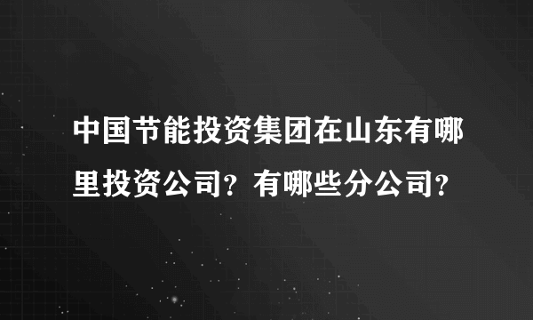 中国节能投资集团在山东有哪里投资公司？有哪些分公司？