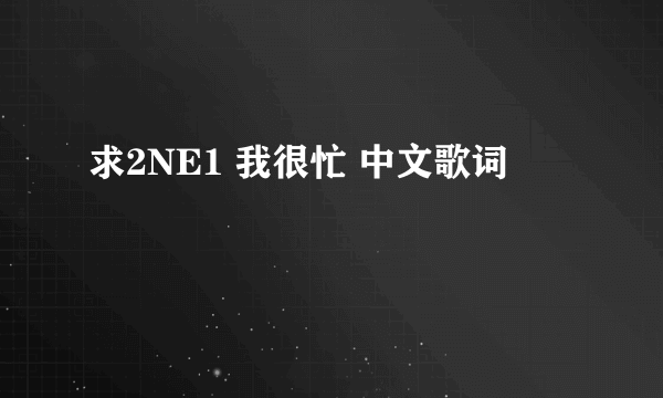 求2NE1 我很忙 中文歌词