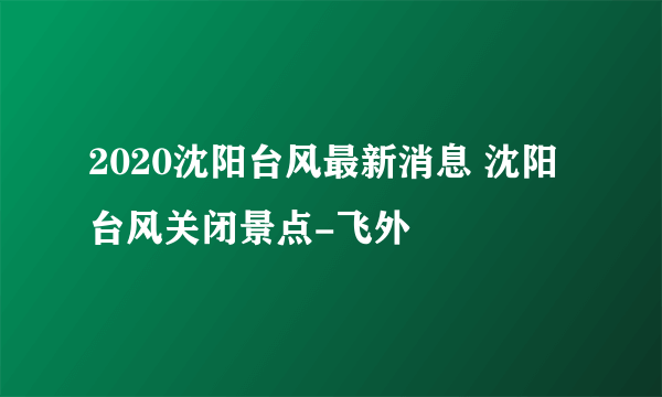 2020沈阳台风最新消息 沈阳台风关闭景点-飞外