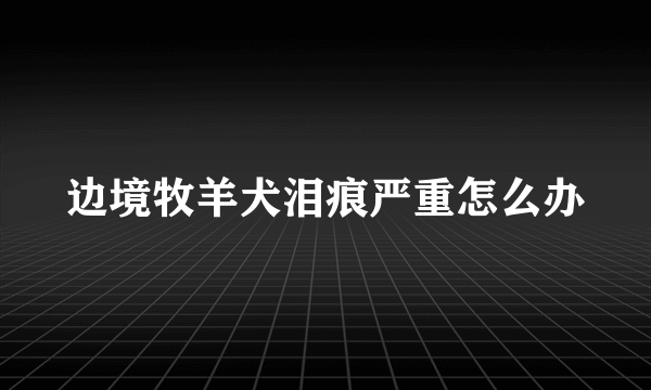 边境牧羊犬泪痕严重怎么办