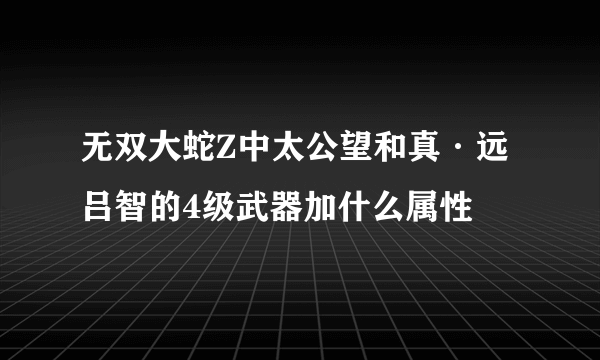 无双大蛇Z中太公望和真·远吕智的4级武器加什么属性