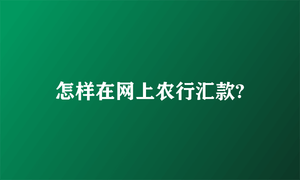 怎样在网上农行汇款?