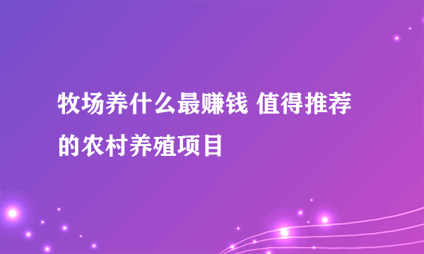 牧场养什么最赚钱 值得推荐的农村养殖项目