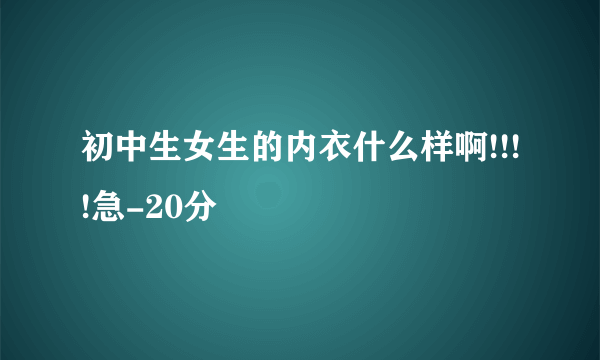 初中生女生的内衣什么样啊!!!!急-20分