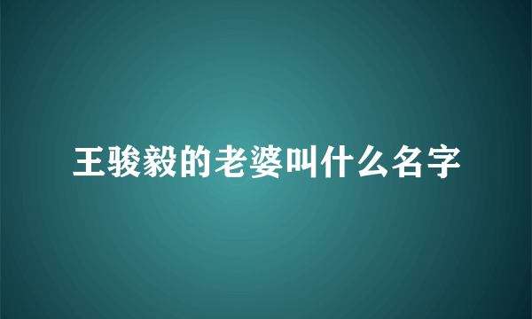 王骏毅的老婆叫什么名字