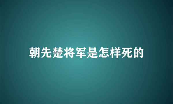 朝先楚将军是怎样死的