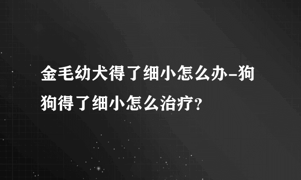 金毛幼犬得了细小怎么办-狗狗得了细小怎么治疗？