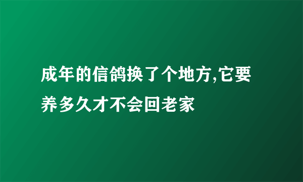 成年的信鸽换了个地方,它要养多久才不会回老家