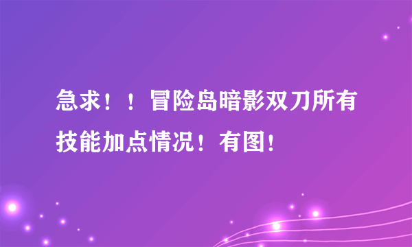 急求！！冒险岛暗影双刀所有技能加点情况！有图！