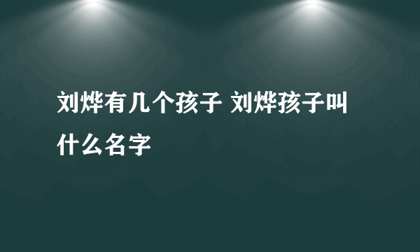 刘烨有几个孩子 刘烨孩子叫什么名字